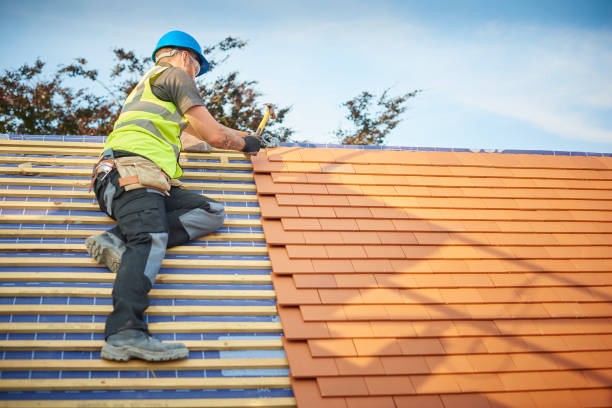 Best Asphalt Shingle Roofing  in Glen Rose, TX